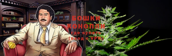 дживик Аркадак